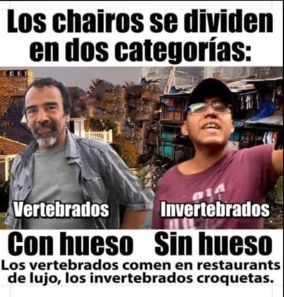 InnteRuben's tweet photo. @SantyRuize @Claudiashein @OHarfuch @ClaraBrugadaM @ErnestinaGodoy_ https://t.co/s28er7HXop