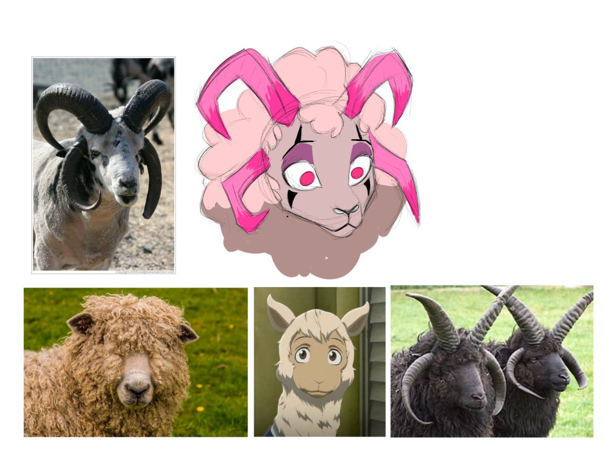 vissiny15's tweet photo. Whuuuut if I was a sheep, specifically a Jacob sheep https://t.co/jrBWEHHmNa