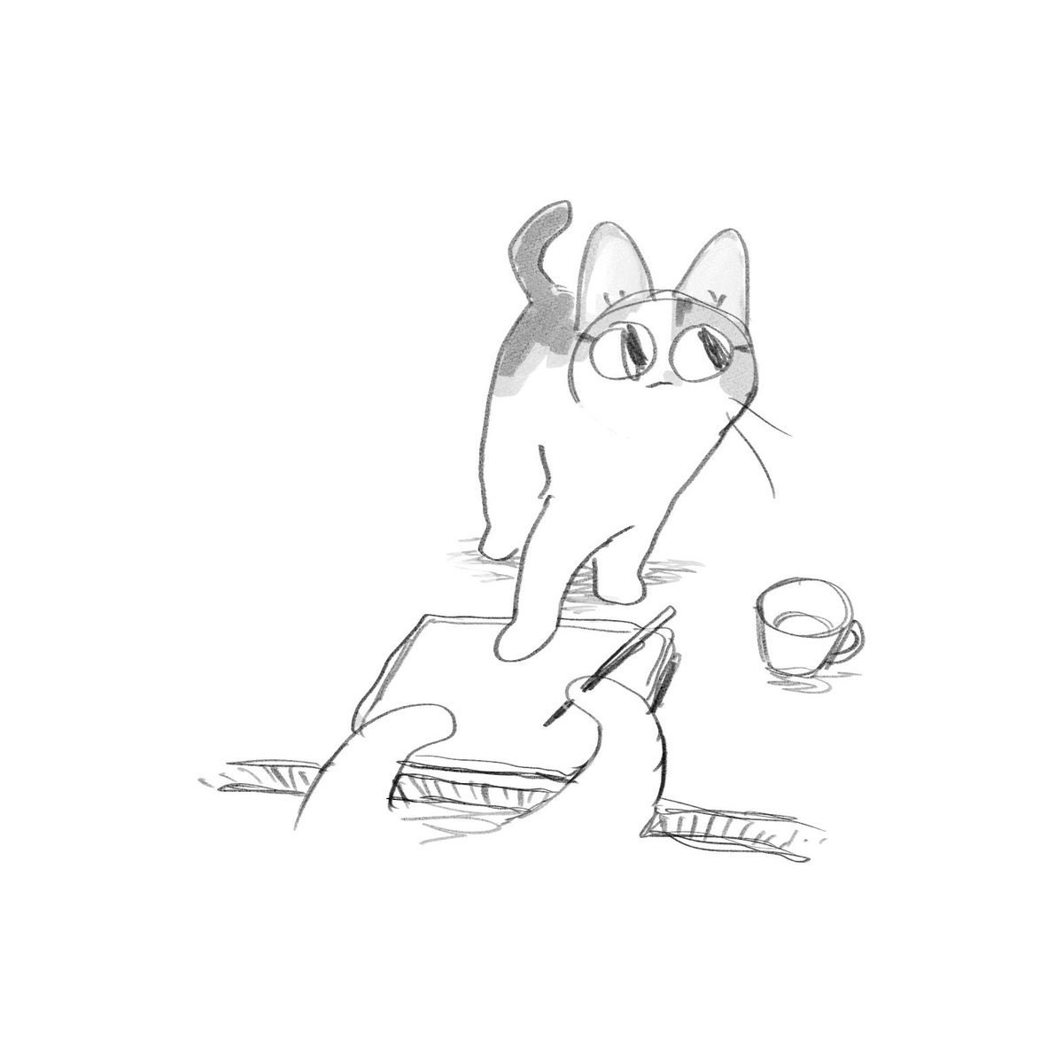 Kuranaga11's tweet photo. 猫 https://t.co/ndtG2Up2iL