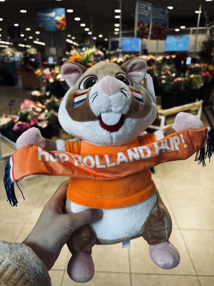 買ってしまった……🐹🇳🇱