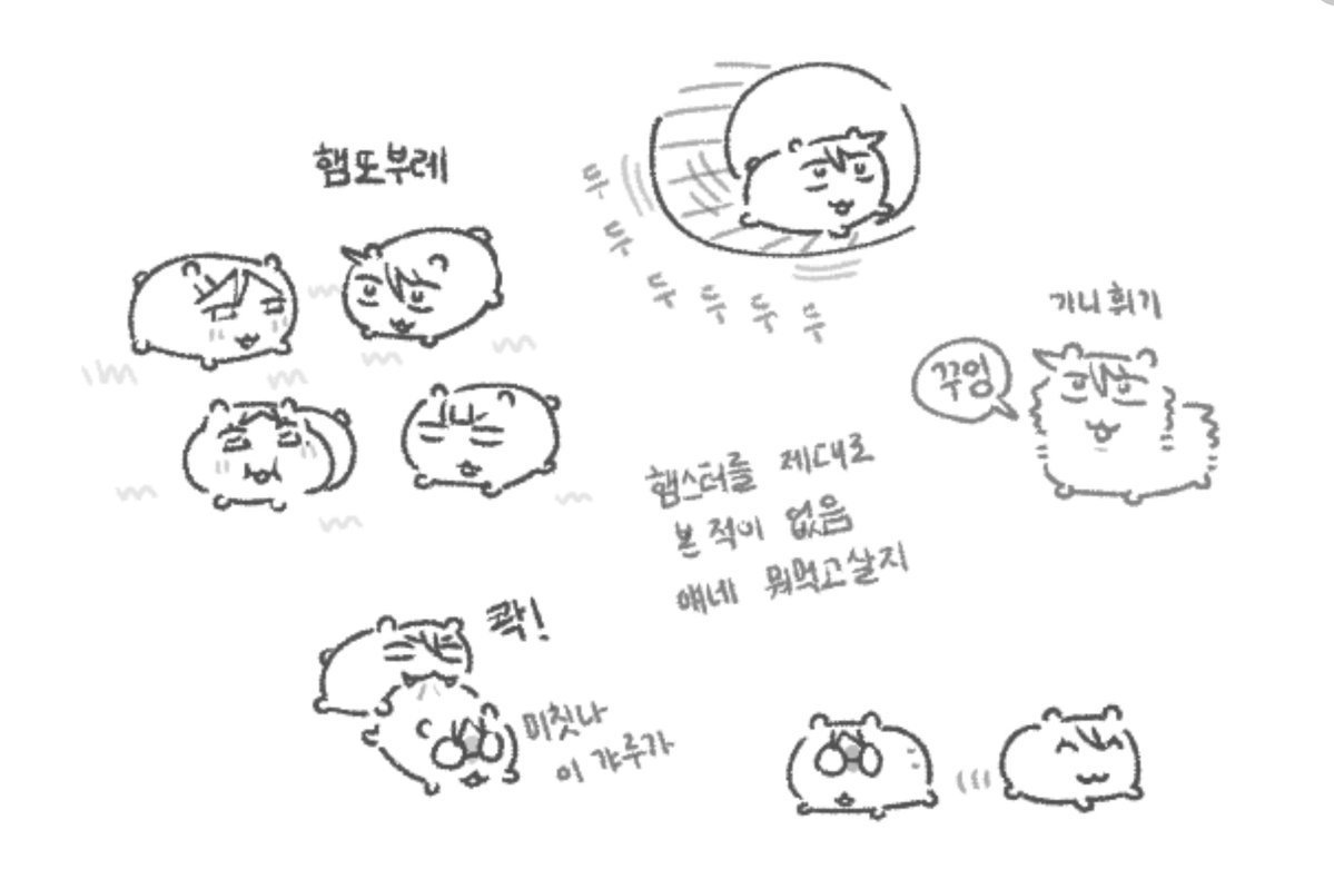 chicken0089's tweet photo. 햄스터는 여러마리 같이키움 안된대요 https://t.co/Q43r1eVVQF
