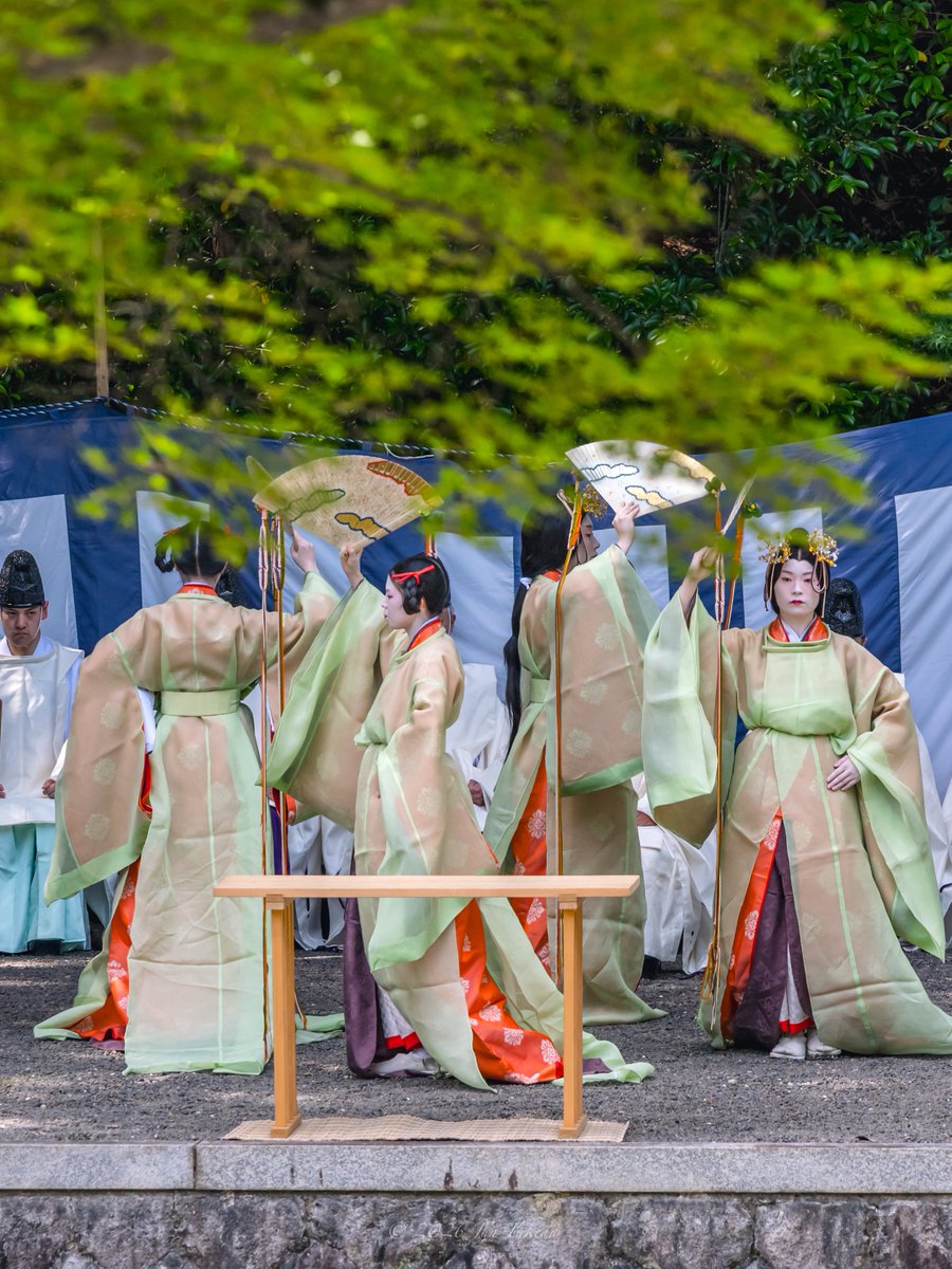 man_tac's tweet photo. 京都伏見稲荷大社お稲荷さんの田植祭🪭🌿🤗
2026.6.10撮影

#京都よきかな 
Leica SL3-S x SIGMA 70-200mm F2.8 DG DN OS | Sports https://t.co/Kkvpo3L6zj