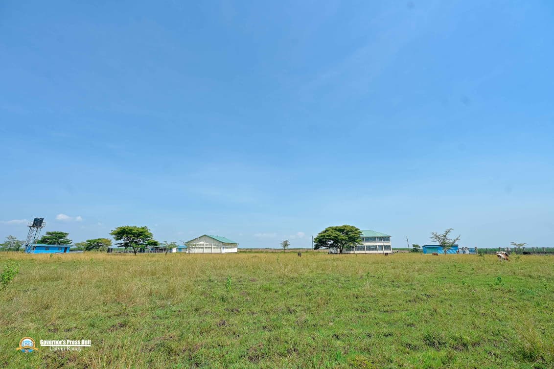 AnyangNyongo's tweet photo. To my administration in the County Government of Kisumu, the transformation of agriculture remains central in empowering communities, securing livelihoods, and expanding economic opportunity.

The Kisumu Dairy Development Centre (KDDC), situated on 25 acres in Nyangore Village, Chemelil Ward, Muhoroni Sub-County, is one of the strategic investments we have made to strengthen the livestock sector across our county.

Established to improve livestock genetics, enhance dairy productivity, and support farmers through modern breeding technologies, the Centre is laying the foundation for a more competitive and sustainable dairy industry.

Beyond genetic improvement, KDDC is designed to strengthen the entire dairy value chain through milk aggregation and value-addition services, while serving as a centre of excellence where farmers can acquire modern dairy production skills and knowledge.

This investment reflects our commitment to long-term planning, productive partnerships, and the deliberate creation of opportunities for our people. It is through such interventions that we aspire to stimulate growth, expand incomes, and build resilient local economies.

While there is still work ahead, the progress made affirms that we are moving in the right direction. Having already hosted several self-help groups from Muhoroni Sub-County, the Centre remains open to all as we continue working towards a more prosperous and inclusive Kisumu. #TichTire