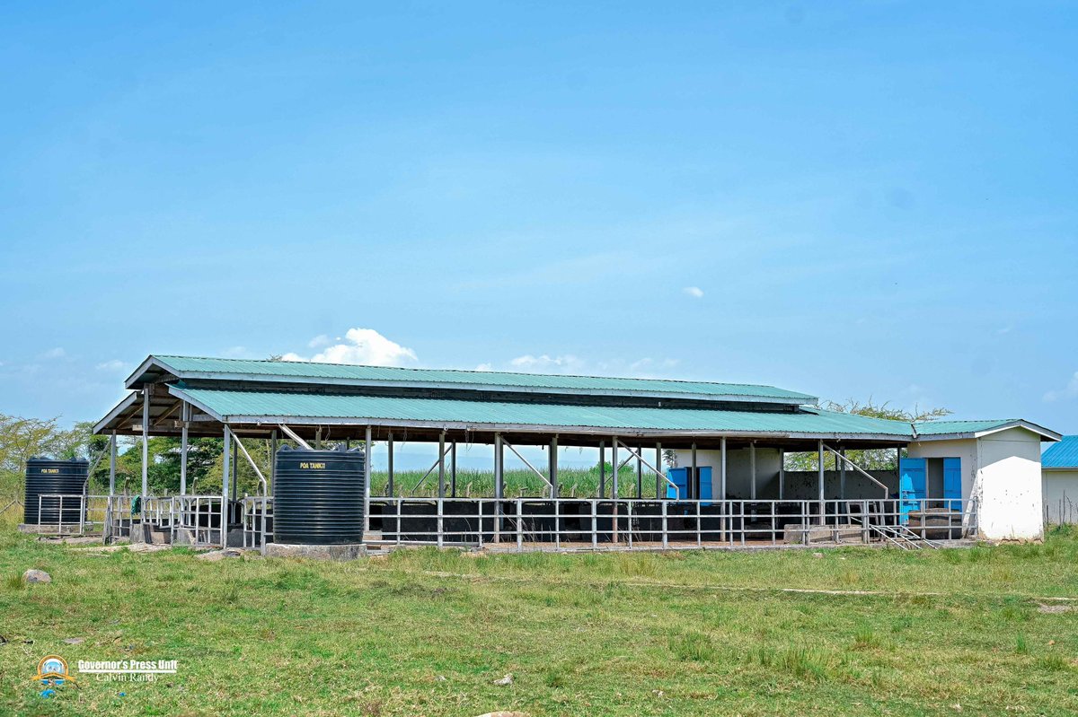 AnyangNyongo's tweet photo. To my administration in the County Government of Kisumu, the transformation of agriculture remains central in empowering communities, securing livelihoods, and expanding economic opportunity.

The Kisumu Dairy Development Centre (KDDC), situated on 25 acres in Nyangore Village, Chemelil Ward, Muhoroni Sub-County, is one of the strategic investments we have made to strengthen the livestock sector across our county.

Established to improve livestock genetics, enhance dairy productivity, and support farmers through modern breeding technologies, the Centre is laying the foundation for a more competitive and sustainable dairy industry.

Beyond genetic improvement, KDDC is designed to strengthen the entire dairy value chain through milk aggregation and value-addition services, while serving as a centre of excellence where farmers can acquire modern dairy production skills and knowledge.

This investment reflects our commitment to long-term planning, productive partnerships, and the deliberate creation of opportunities for our people. It is through such interventions that we aspire to stimulate growth, expand incomes, and build resilient local economies.

While there is still work ahead, the progress made affirms that we are moving in the right direction. Having already hosted several self-help groups from Muhoroni Sub-County, the Centre remains open to all as we continue working towards a more prosperous and inclusive Kisumu. #TichTire