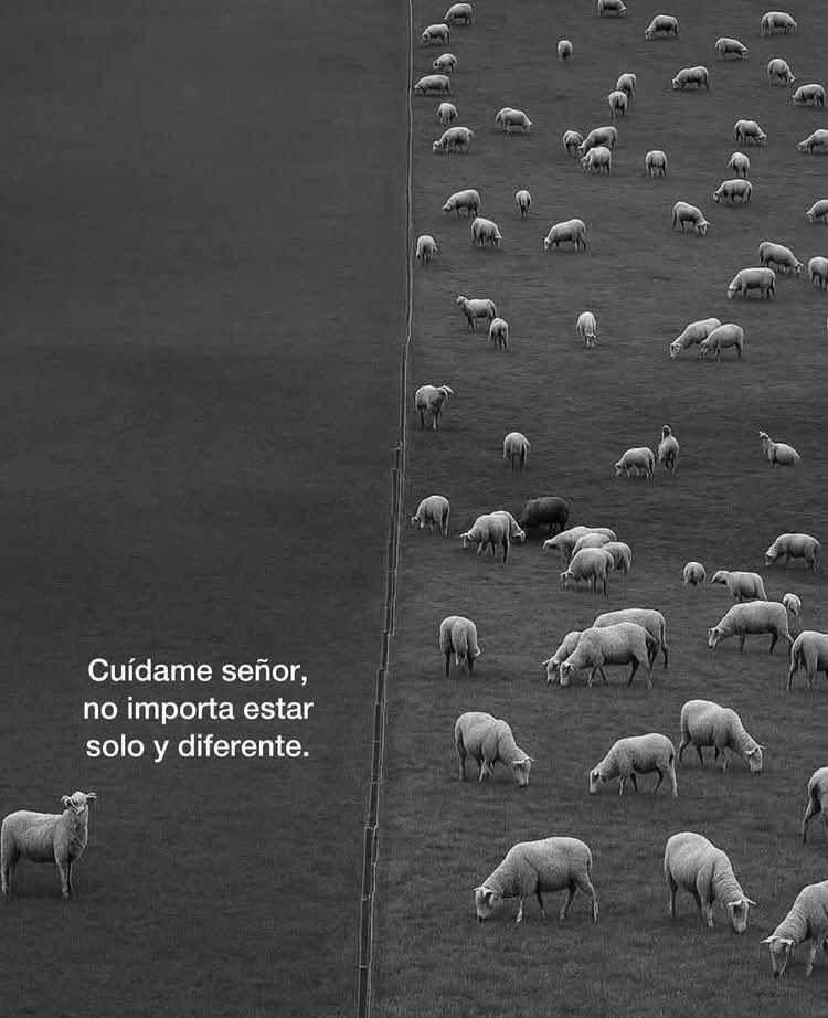 Clb2218's tweet photo. Amén. https://t.co/4IrPM8jwYA