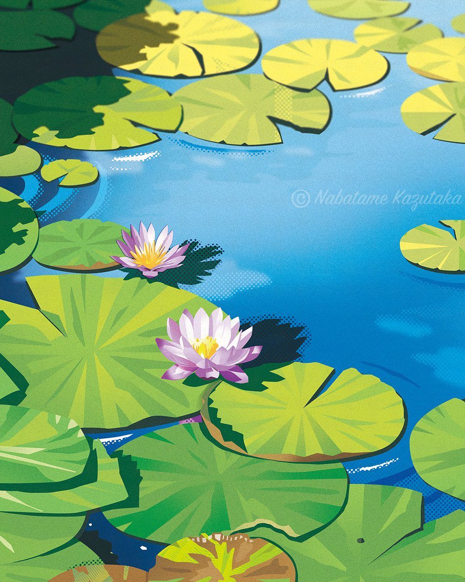 NabatameKaztaka's tweet photo. "Daytime Water Lilies"
(2025) https://t.co/qG6kE9bLcA