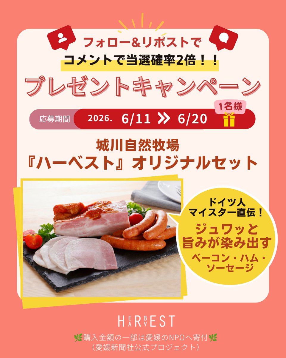 herbest_harvest's tweet photo. 愛媛の山奥の小さな工場が
食通たちを唸らせている話を知っていますか。

西予市城川町。
人口わずか数千人の山峡の町に
「あの味を、また食べたい」と
全国からリピーターが集まる加工場があります。

城川自然牧場のベーコン・ハム・ソーセージ。

冷凍を一切使わない愛媛県産の生肉。
ドイツ人マイスターから職人へ、
職人から職人へと受け継がれた製造技術。
内モンゴル産「天外天塩」が肉の旨みを引き出す。

━━━━━━━━━━━━━━
この味を1名様にお届けします🎁
━━━━━━━━━━━━━━

『ハーベスト』の購入金額の一部は愛媛のNPOへ寄付されます🌿

━━ 応募方法 ━━
①フォロー
②このポストをRP
💬「朝ごはんに食べたい！」とコメントで
　当選確率2倍になります！

締切：2026年6月20日（土）23:59
#城川自然牧場 #愛媛産品 #産地直送
#ベーコン #お取り寄せ #えひめグルメ