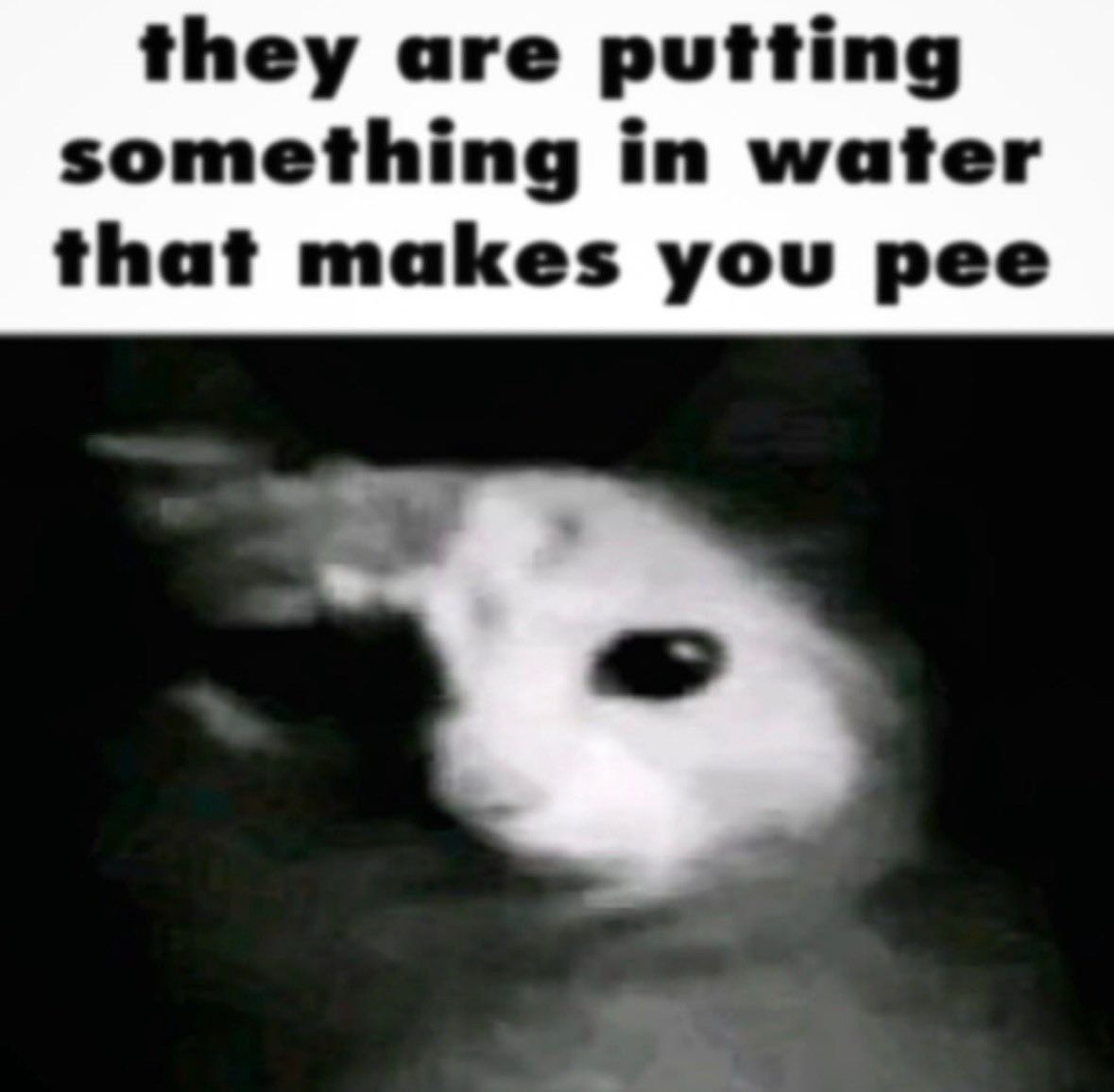nocontextmemes's tweet photo. https://t.co/MzqutFPlez
