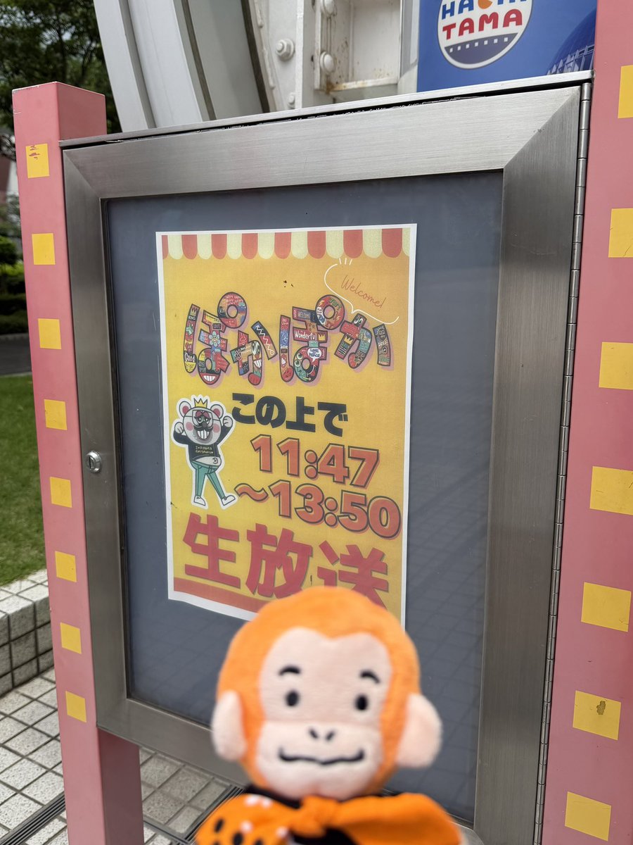 dpc_yokko's tweet photo. ぽかぽか外観覧楽しかった🧡
お話ししてくれたDPCさんありがとう☺️
#ぽかぽか 
#DAPUMP 
#U_YEAH 
#ダパンキー https://t.co/zx1njWakEL