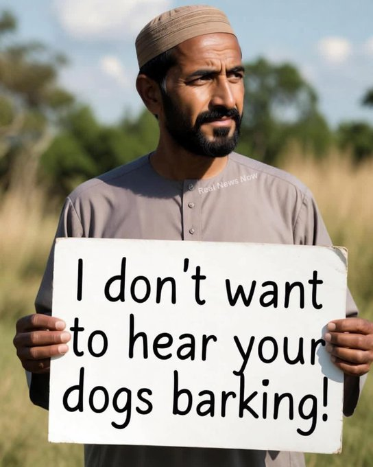 Anti Woke Memes tweet media