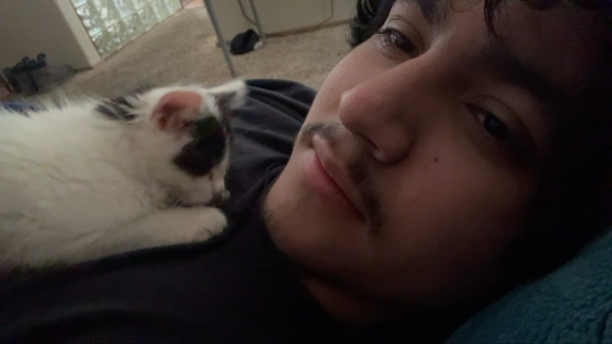 mxx_maximiliano's tweet photo. Moothunt !!

✧ ⊹　He/Him

✧ ⊹　20

✧ ⊹　NA-West

✧ ⊹Ask me about anything, music, cartoons, animes, fashion, movies/shows, video games etc ! I love sharing !

↻ / ♡ to be moots #anitwt #moothunt #promotwt #fortnitetwt #musictwt #mootstwt https://t.co/ds0kaAwhNk