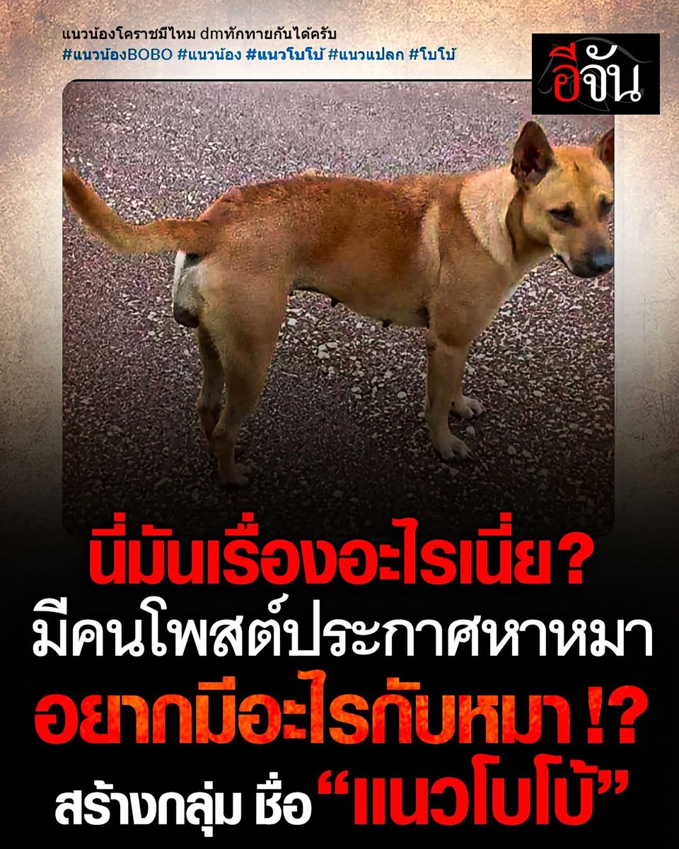 M0M0N64's tweet photo. เพิ่งเห็นผ่านฟีด ตอนนี้กลุ่มปลิวหรือยังคะ🤢 
มีข้อมูลแจ้งว่า มีแบบนี้มานานกว่า 10ปีแล้ว

#แนวแปลก #โบโบ้ https://t.co/FZFFgI3ZG7