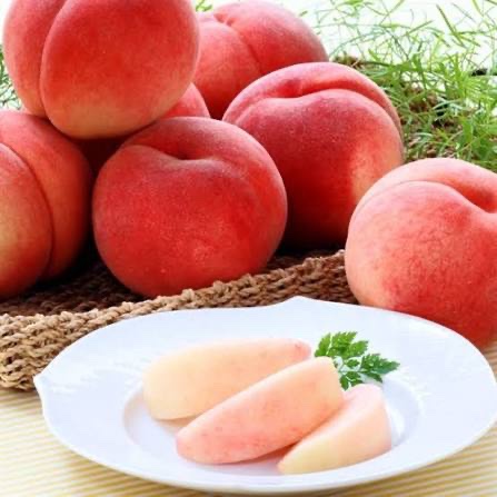 tukuba_kaju_en's tweet photo. 🍑桃好き必見企画🍑

『山梨県産 🍑桃 5㎏（8,000円相当）』

抽選で5名様に届く✨

【応募方法はコチラ⬇️】
・本アカウントをフォロー
・リポスト🔁＆いいね💕

応募締切:6/13  23:59 https://t.co/2WuhT4swrP