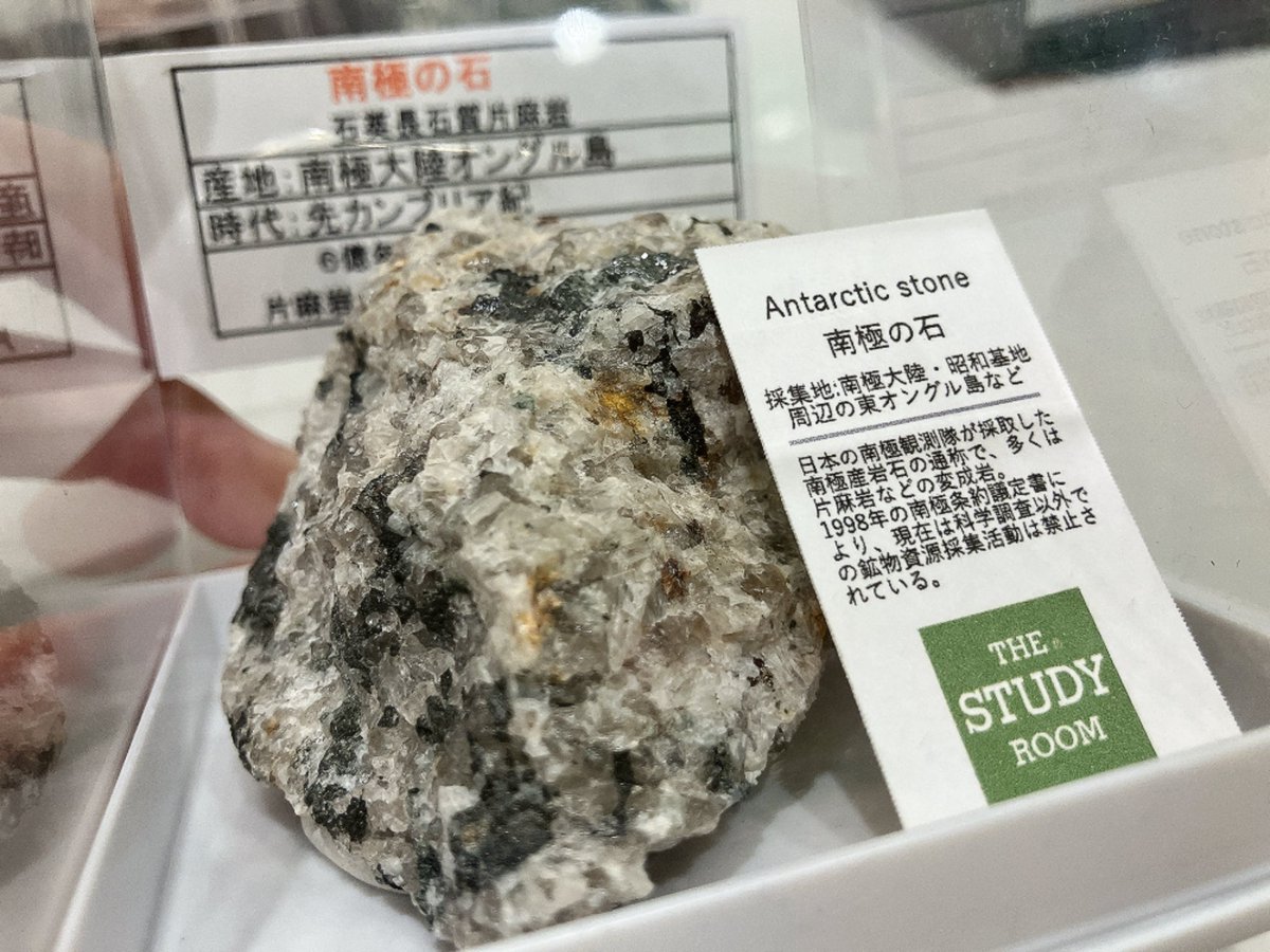 KensukeTadome 南極の石って、売っていいんですね😂