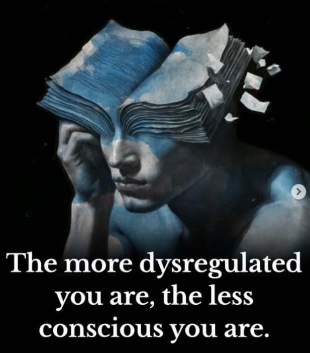 neuronpowers's tweet photo. The more dysregulated you are, the less conscious you are.

Here is why: 🧵 https://t.co/5sPH4zzlOf