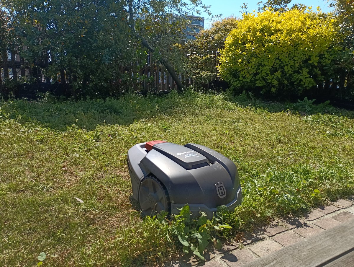 iids_info's tweet photo. 屋上緑化の断線修理をしました。機種はオートモア105です。 2か月走行させていなかったのでかなり芝が伸びていましたが問題なく走行しました✨
#オートモア #ロボット芝刈機 #芝生 #庭のお手入れ #緑化管理 #インテック https://t.co/wXxv1VOpla