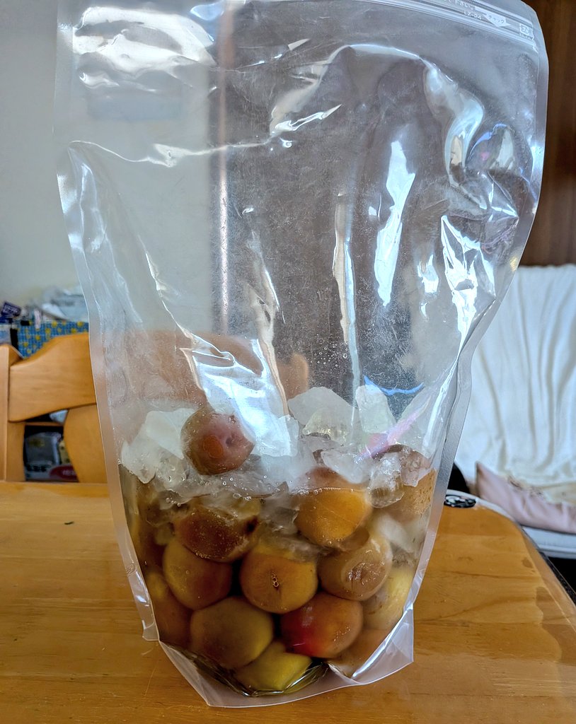 Cremorne9's tweet photo. 昨年梅シロップが上手に出来たので今年も🥤

一昨日梅の実を凍らせて氷砂糖を投入し、1日半経ったところ❤️
早ければ1週間で飲めるとのこと😋 https://t.co/os0odNDLdK