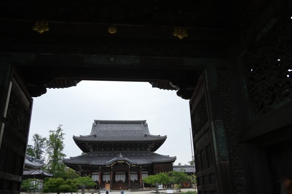 Morrow_M's tweet photo. 先日（6/9）の「高田本山専修寺」での写真。
親鸞聖人が開かれた真宗高田派の本山。国指定重要文化財で国宝木造建築では5番目の大きさを有する御影堂などがある。
まだ時期には早かったが、蓮の花が一輪咲いていた。
＃真宗高田派総本山専修寺
＃ハスの花
＃三重県津市
＃クラブツーリズム https://t.co/ccFN5x3Iit