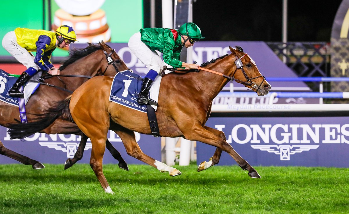 The latest on G1 Longines Dubai Sheema Classic winner CALANDAGAN