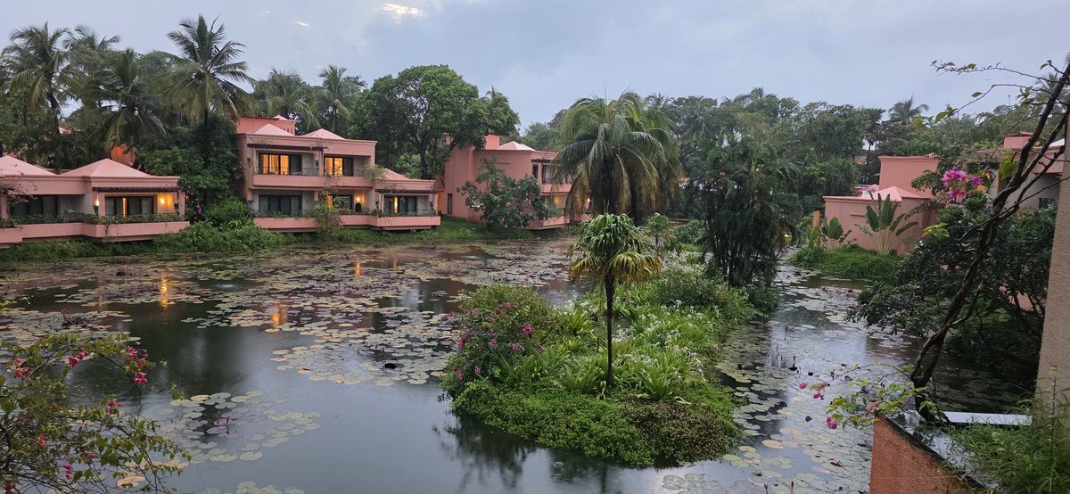 RaviKakadia's tweet photo. Waking up to this view..is just wooww!!!! https://t.co/Gkyd4HSeco