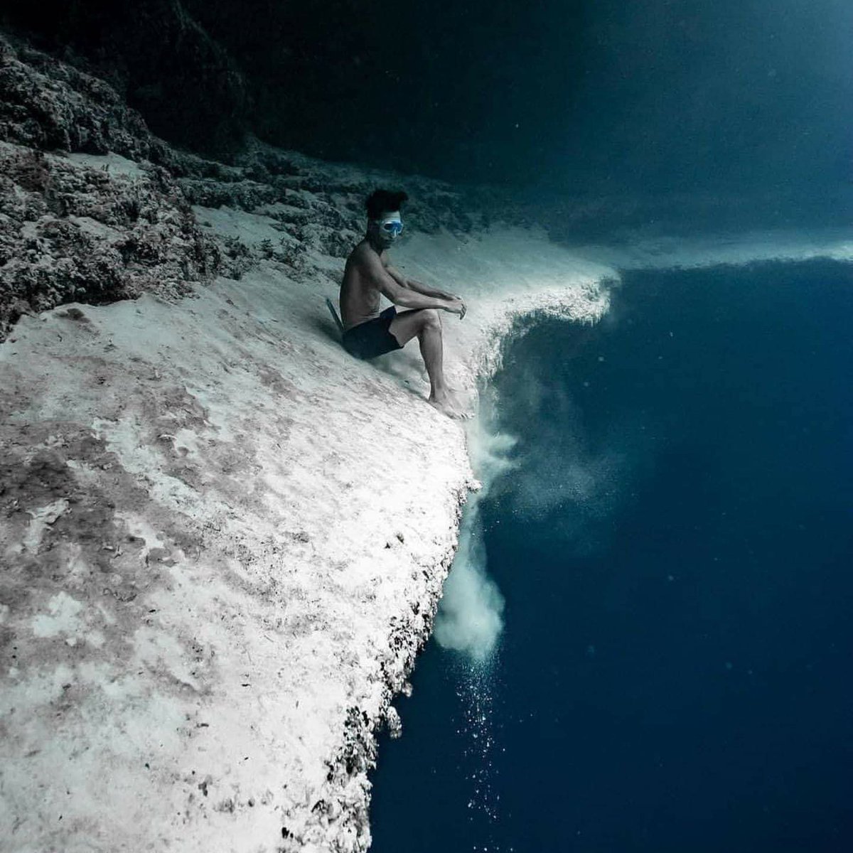 AMAZlNGNATURE's tweet photo. Sitting on the edge of an underwater cliff

Taken at Dean’s Blue Hole in the Bahamas, these divers are perched on the rim of one of the world’s deepest blue holes, where the seafloor drops sharply into the dark depths below https://t.co/U4WilW33Gl