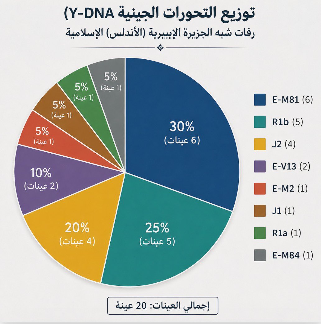 tmooofi's tweet photo. على ضوء أربع دراسات جينية منشورة، تم تجميع جميع الرفات الإسلامية من شبه الجزيرة الإيبيرية (الأندلس)، والبالغ عددها 20 عينة ذكورية (Y-DNA).

النتائج تُظهر تنوعًا واضحًا في السلالات الأبوية، حيث جاء التحور E-M81 في المرتبة الأولى (30%)، يليه R1b (25%) ثم J2 (20%)، مع ظهور بعض السلالات مثل M84 و J1 و M78 و M2