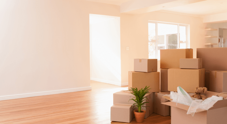 Showcase Realty LLC - Nancy Braun tweet media