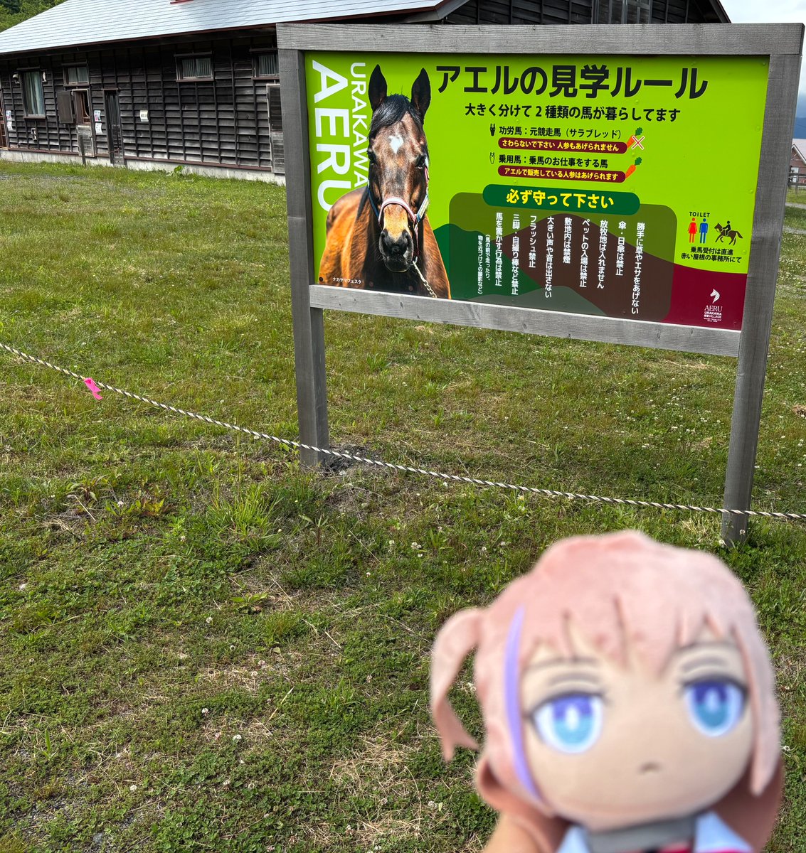 NotBadIceCream's tweet photo. star at the nakayama festable
@WxfuCorn https://t.co/YkMzrLiQ4k