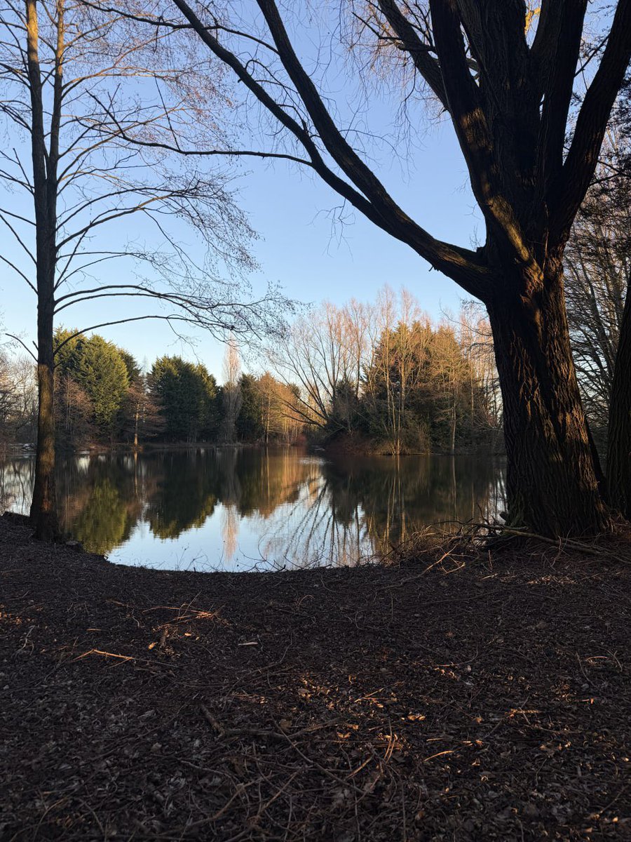 AnnRuth00's tweet photo. i think we'd have a nice conversation here https://t.co/orwTamI0wx