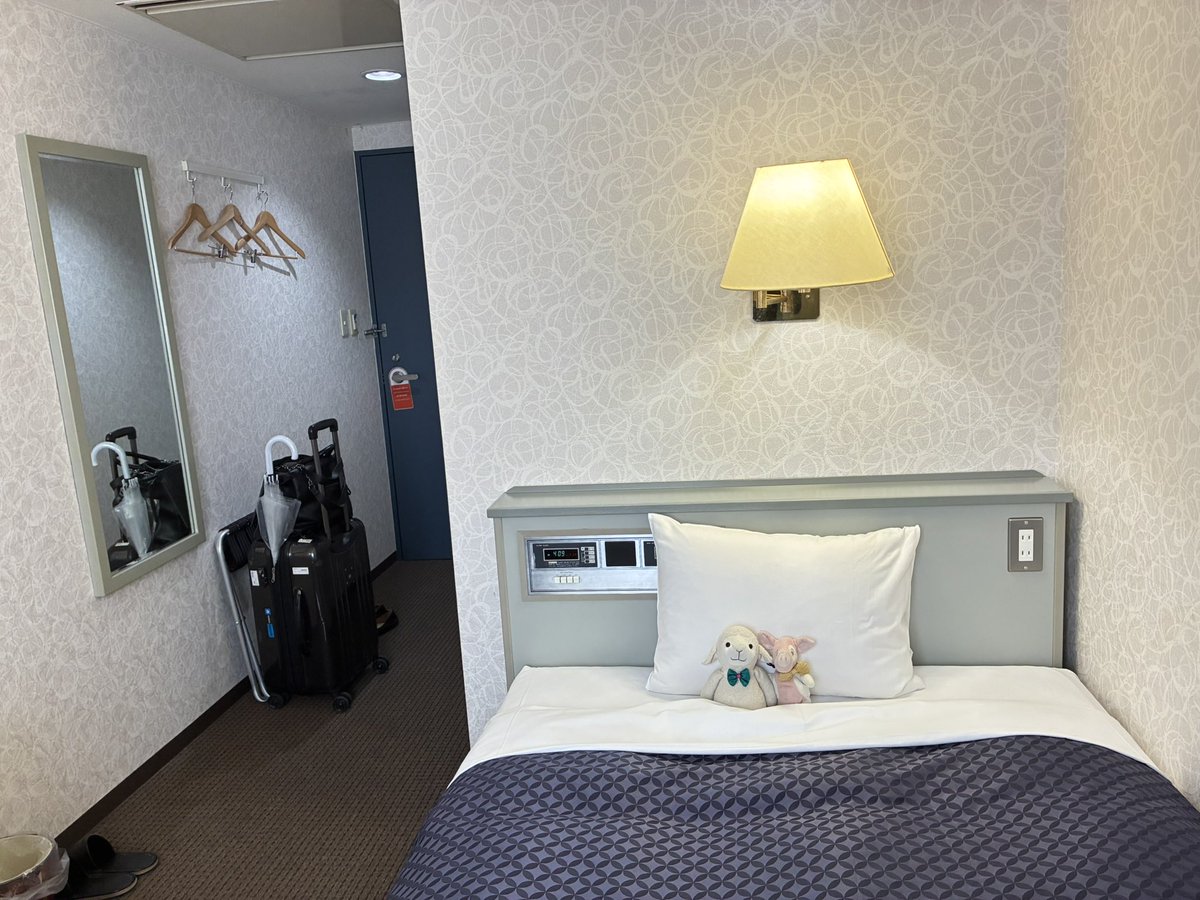 zingi_h's tweet photo. ホテル生活もイイもんだな🐏🐖🏨 https://t.co/JUOa18H91Y