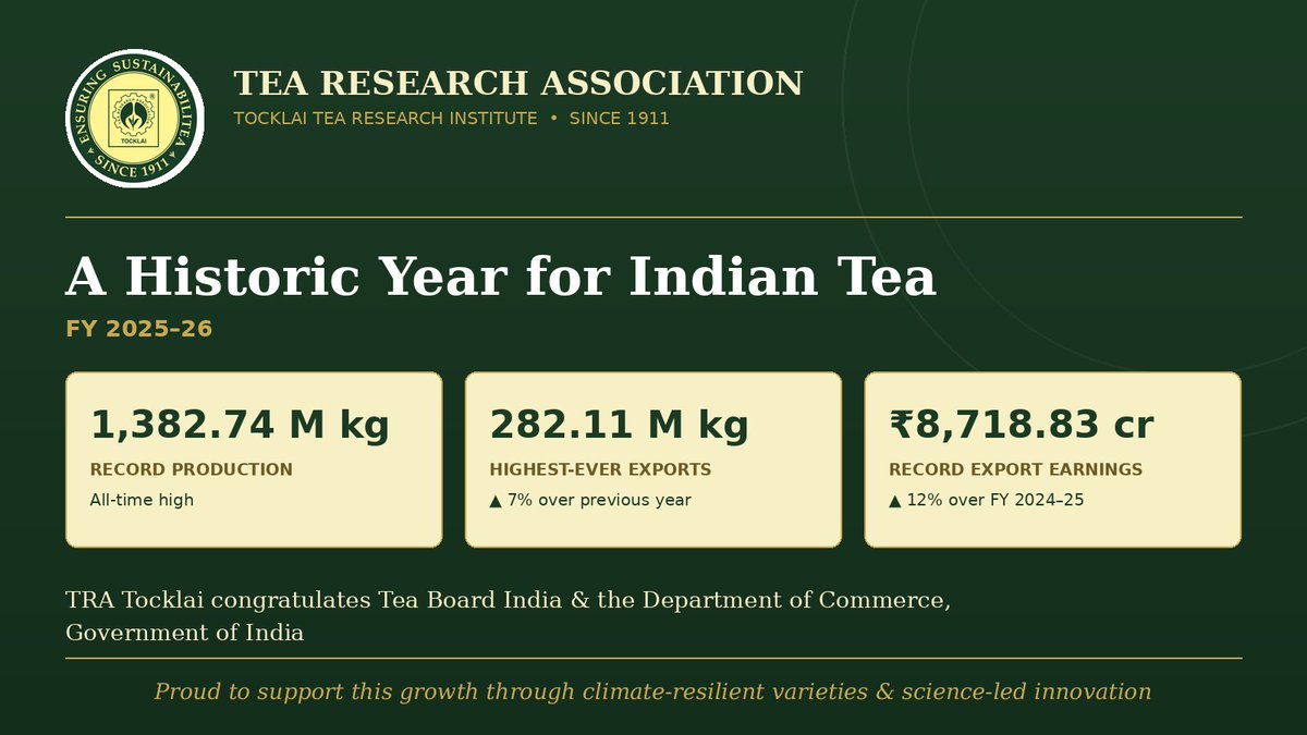 TRATocklai's tweet photo. A historic year for Indian tea ! TRA Tocklai congratulates Tea Board India &amp; Department of Commerce for this achievement 

TRA Tocklai is proud to support this growth through climate-resilient varieties &amp; science-led innovation. 

https://t.co/YrSKd2EmM8 

#IndianTea #TeaExports https://t.co/2AACpT1EiD