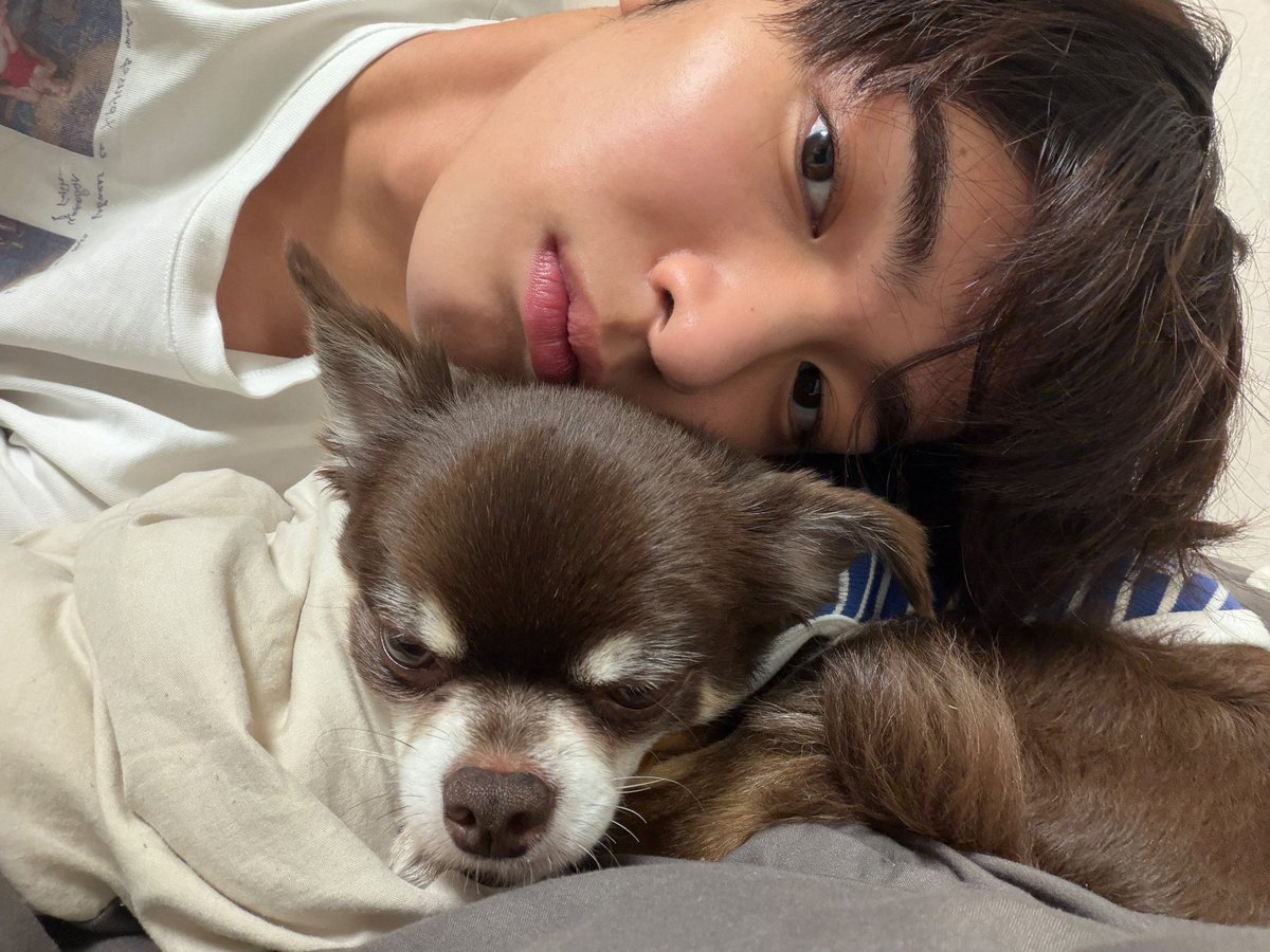 ankeounho's tweet photo. I just need to lay down and snuggling https://t.co/UM5kZ16dO5