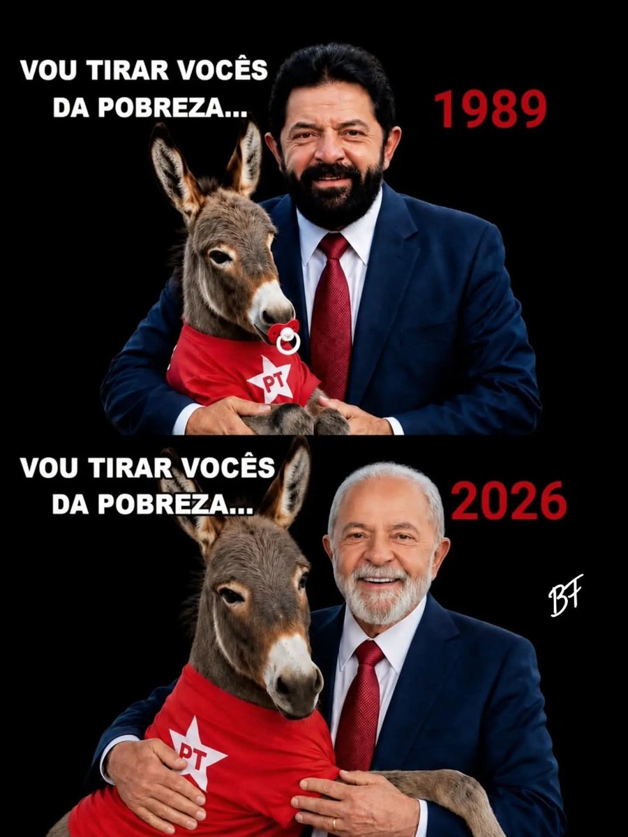 Maurício Zap 🇧🇷🇯🇵🇺🇦🇺🇸🇮🇱 tweet media