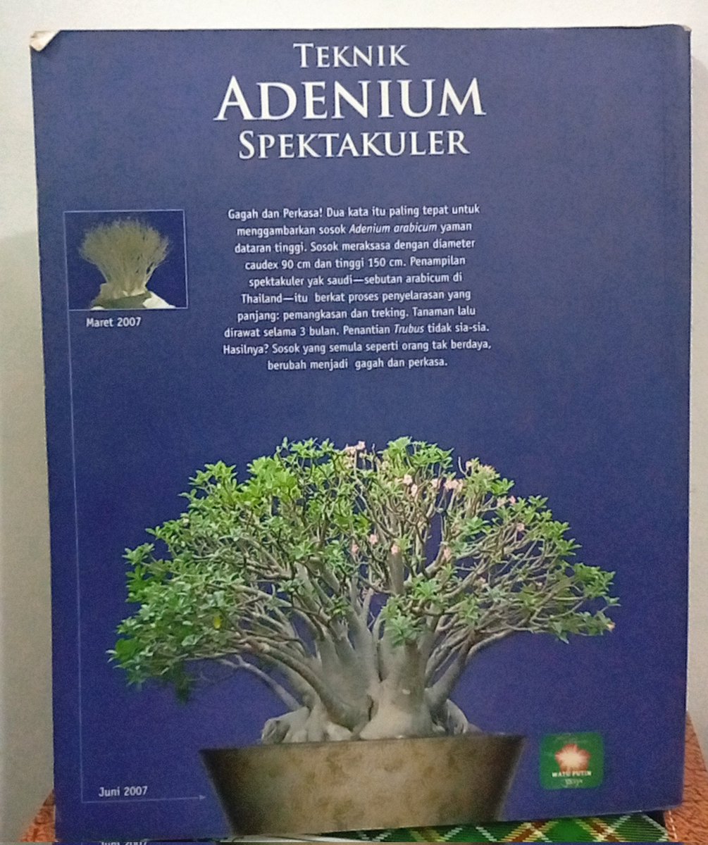 Janizee_01's tweet photo. Buku Trubus Teknik Adenium Spektakuler 
https://t.co/Y4rzpKmKG2
#preloved #prelovedbuku https://t.co/u1G3RYeVnj