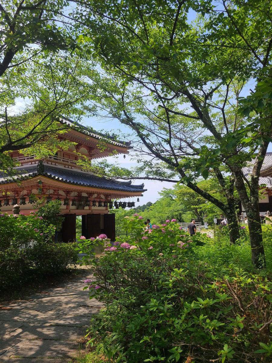 mikabbdae0426's tweet photo. 大和観音あぢさゐ回廊、壺阪寺②あぢさいも綺麗やけど他にも見所有りすぎてめちゃくちゃ長居してしまった😊特に三重塔。室町時代壮健の重要文化財らしく時代を感じる。 https://t.co/sgf4ine4gH