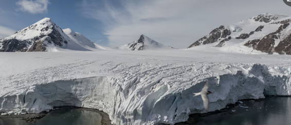 ECOWARRIORSS's tweet photo. “This is absolutely crazy,” said Raúl Cordero, an Ecuadorian climate  professor at the University of Groningen. 

“It is also about 20C above  normal for this time of the year. That is a huge anomaly. https://t.co/sG0X850uHl