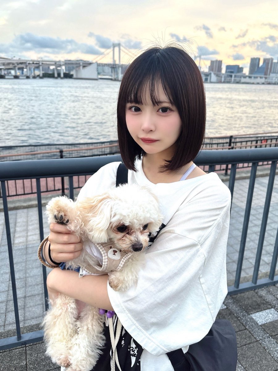 まとめ画像