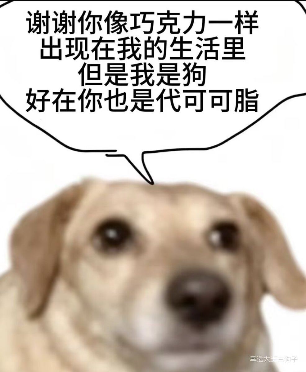 YuanChe7LU's tweet photo. 已经没有人会再爱我了 https://t.co/v0imiY9NxE