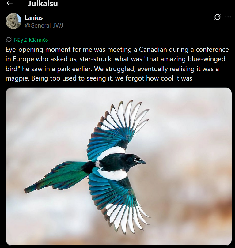 a_o_lundan's tweet photo. @cheesiestart I was immediately reminded me of this tweet 😌 https://t.co/MPUfuHfMV6