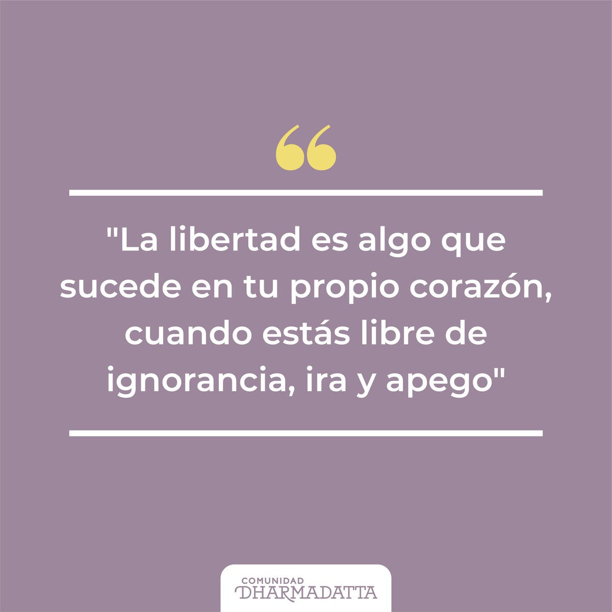 faceBuda's tweet photo. #Anonimo #CitaDelDia #ComunidadDahrmadatta #SalasDeMeditacion #InstitutoBudaDharma #Buenodia https://t.co/of8XQGvWGV