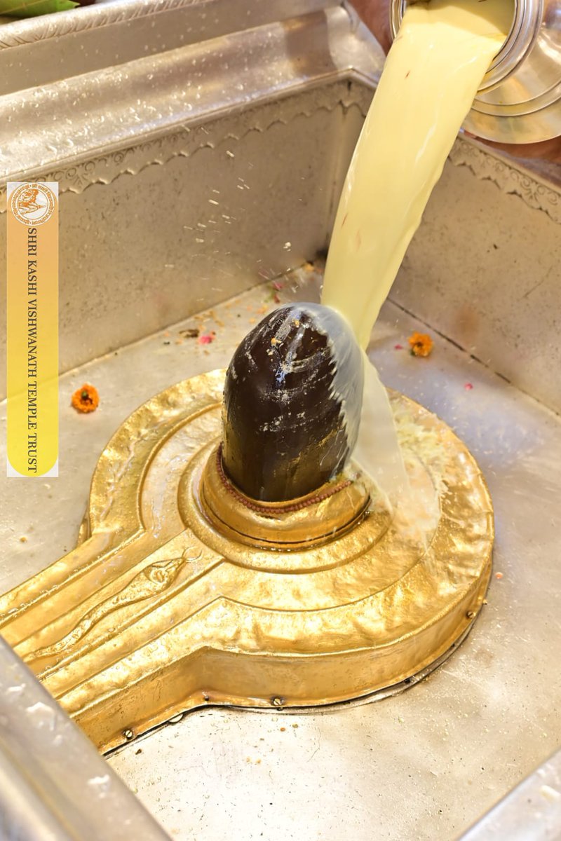 ShriVishwanath's tweet photo. श्री काशी विश्वनाथ जी की मध्यान्ह-भोग आरती I
#kashi #darshan #kashivishwanath #VishwanathDham #blessings https://t.co/JxuCwR2Gpk