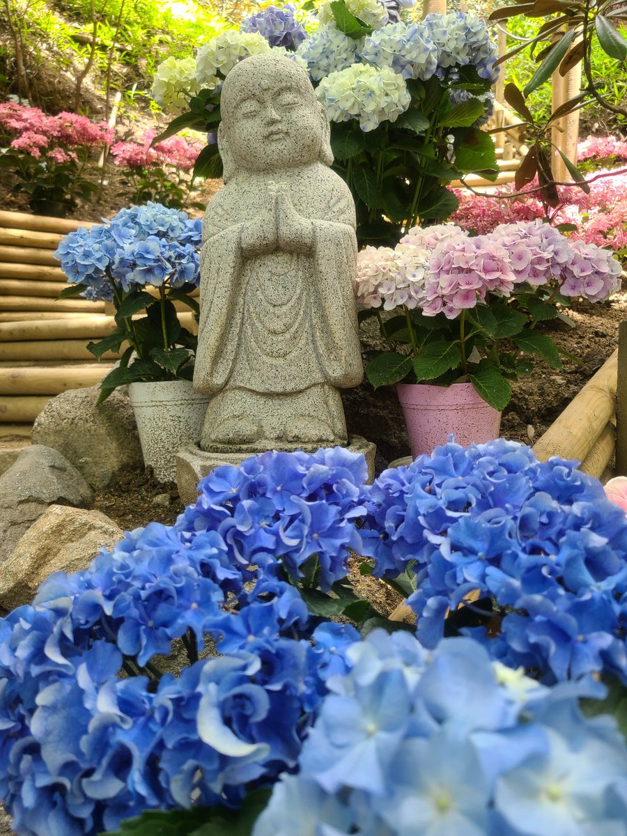 mikabbdae0426's tweet photo. 大和観音あぢさゐ回廊、岡寺③お地蔵さんがいい雰囲気😊可愛い顔してる✨ https://t.co/MMZsuQwB4s