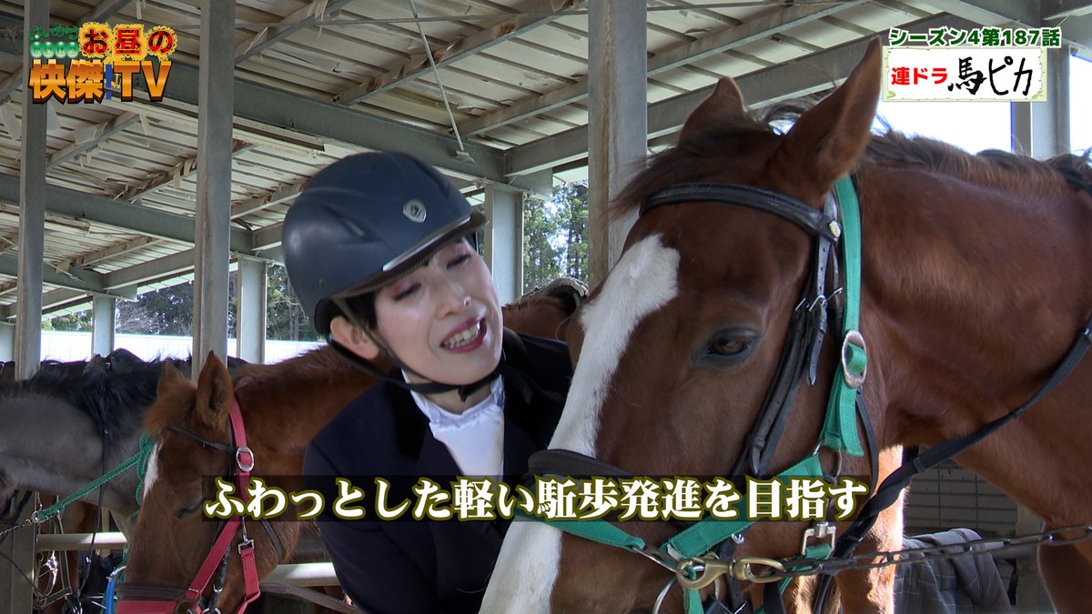 bashadaigaku's tweet photo. 6/7放送の「お昼の快傑TV」のコーナー「馬ピカ」の白鳥役(高世麻央)騎乗練習シーンほか習志野市自慢話その1
https://t.co/J49yB4NwJx
#お昼の快傑TV 　#馬ピカ　#バラエティ番組　　#乗馬クラブ　#宮本泰介　#習志野市　
#青葉幼稚園　#菓子工房アンジェ　　#ナラシド https://t.co/WNWHxomxqu