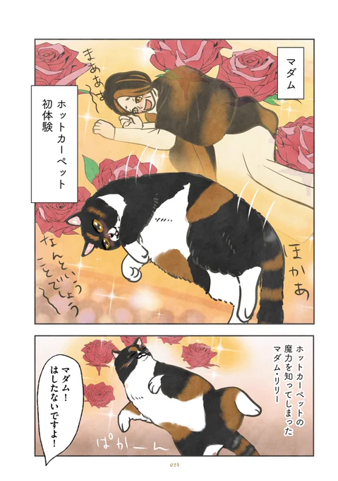 2/2 