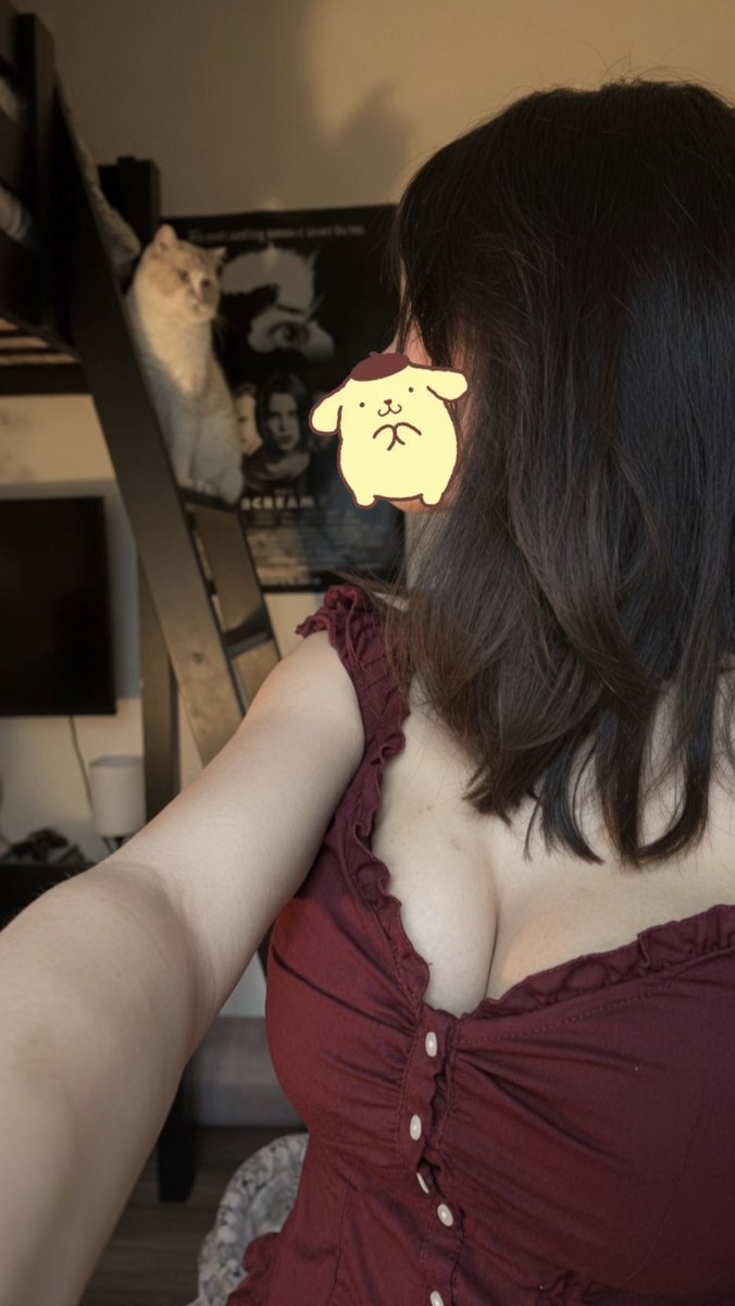 amywanaxd's tweet photo. kitty says goodnight :3 

#moots #mutuals #gaming https://t.co/1UneacfkPz