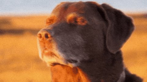 _Snowyflake's tweet photo. @0xSweep @Skelhorn This win could help me secure a spot for the airdrop. I've been consistently active and engaged, and I'd be grateful for the chance. 🙏 @0xSweep

Usn: Snowy_flake https://t.co/cFVRHPGBBc