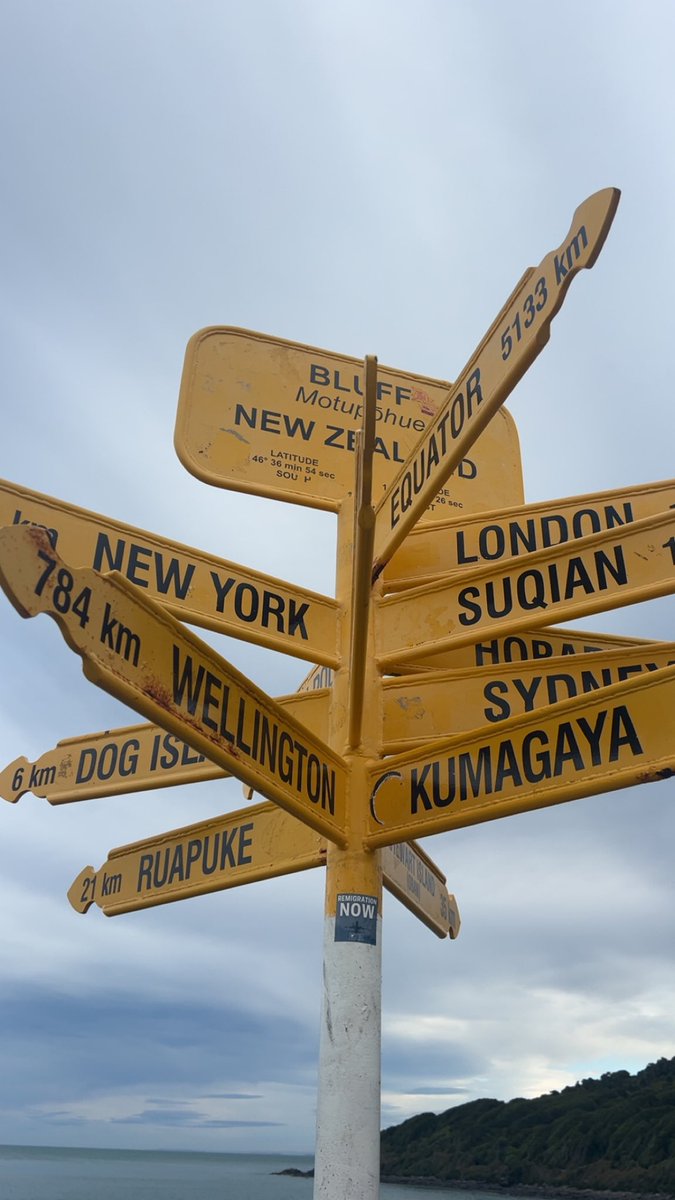 RemigrationNZ tweet picture