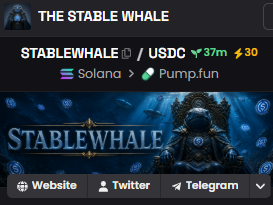 StableWhaleUSDC's tweet photo. DEX PAID + BOOST 30 https://t.co/aIdLEaibRz