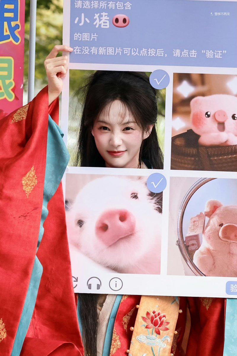 dlfxhd's tweet photo. 260610 이일동 금지 샤칭

아기돼지🐷 vs 아기토끼🐰
©️ 雪季不再来·李一桐 https://t.co/5ywEy0eUxt
