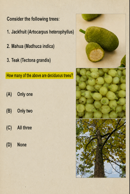 padhai_upsc's tweet photo. Deciduous Trees 🌳
One simple NCERT term.

Can you describe it correctly without overthinking? 👀 https://t.co/fiklMdmBTM